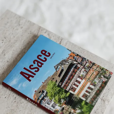 Appartement Nordique Mulhouse